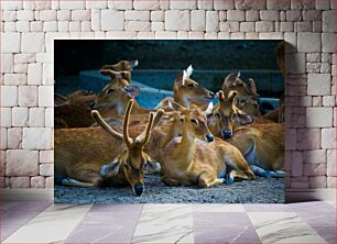 Πίνακας, Group of Deer Resting Ομάδα Ελαφιών Αναπαύεται