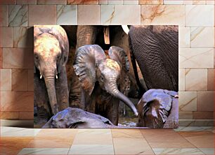 Πίνακας, Group of Elephants Ομάδα Ελεφάντων