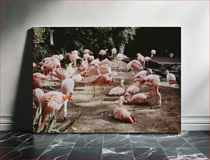 Πίνακας, Group of Flamingos Ομάδα Φλαμίνγκο