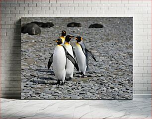 Πίνακας, Group of Penguins on Rocky Path Ομάδα πιγκουίνων στο βραχώδες μονοπάτι