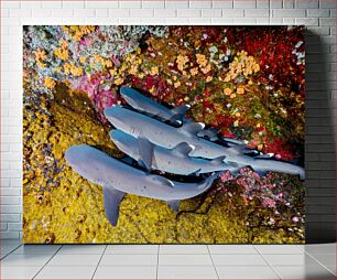 Πίνακας, Group of Sharks in Vibrant Underwater Environment Ομάδα καρχαριών σε ζωντανό υποβρύχιο περιβάλλον