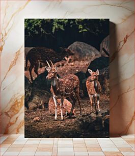 Πίνακας, Group of Spotted Deer in Forest Ομάδα στίγματα ελαφιών στο δάσος