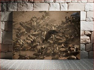 Πίνακας, Group of Vultures in Dust Ομάδα Γύπες στη Σκόνη