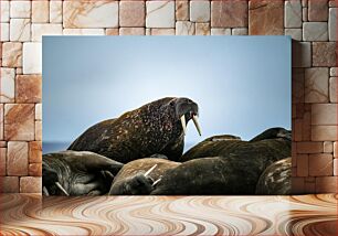 Πίνακας, Group of Walruses Ομάδα Walruses