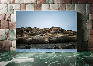 Πίνακας, Group of Walruses on Shore Ομάδα Walruses στην ακτή