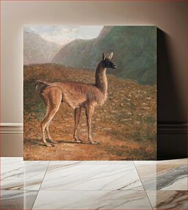 Πίνακας, Guanaco (ca. 1848) by Jacques–Laurent Agasse