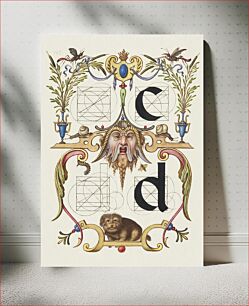 Πίνακας, Guide for Constructing the Letters c and d from Mira Calligraphiae Monumenta or The Model Book of Calligraphy (1561–1596) by Georg Bocskay and Joris Hoefnagel