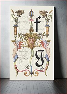 Πίνακας, Guide for Constructing the Letters f and g from Mira Calligraphiae Monumenta or The Model Book of Calligraphy (1561–1596) by Georg Bocskay and Joris Hoefnagel