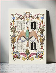 Πίνακας, Guide for Constructing the Letters u and v from Mira Calligraphiae Monumenta or The Model Book of Calligraphy (1561–1596) by Georg Bocskay and Joris Hoefnagel