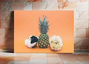 Πίνακας, Guinea Pigs with Pineapple Ινδικά χοιρίδια με ανανά