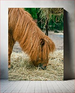 Πίνακας, Hairy Animal Grazing Τριχωτό Ζώο Βόσκηση