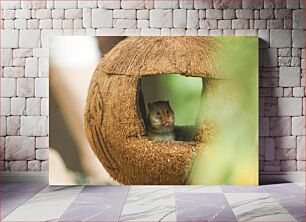 Πίνακας, Hamster in Coconut Shell Χάμστερ με κέλυφος καρύδας