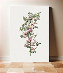 Πίνακας, Hand draw pink flower