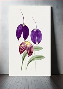 Πίνακας, Hand draw purple wildflower