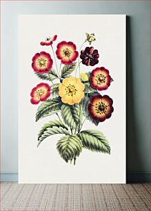 Πίνακας, Hand drawn bicolor flowers