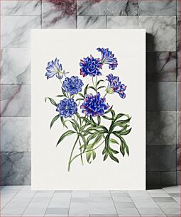Πίνακας, Hand drawn blue chrysanthemum