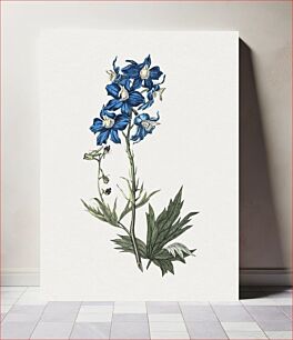 Πίνακας, Hand drawn blue flower