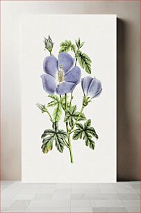 Πίνακας, Hand drawn blue hibiscus