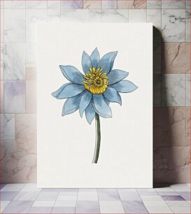 Πίνακας, Hand drawn blue lotus