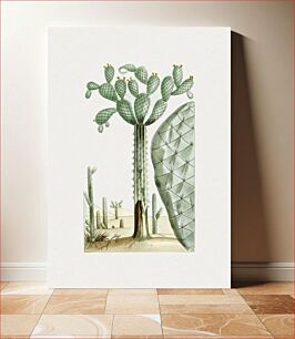 Πίνακας, Hand drawn cactus