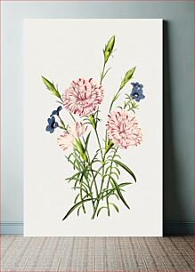 Πίνακας, Hand drawn carnations