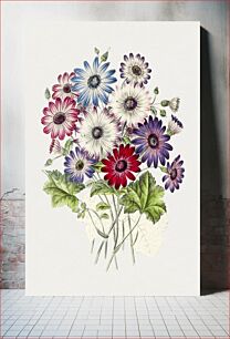 Πίνακας, Hand drawn colorful chrysanthemums