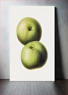 Πίνακας, Hand drawn green apples