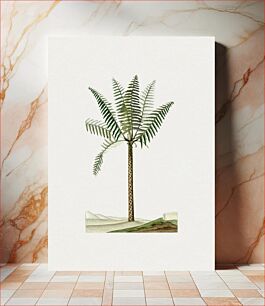 Πίνακας, Hand drawn palm tree