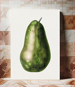 Πίνακας, Hand drawn pear