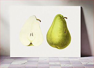 Πίνακας, Hand drawn pear