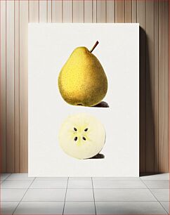 Πίνακας, Hand drawn pear