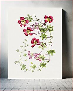 Πίνακας, Hand drawn pink passion flower