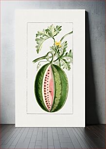 Πίνακας, Hand drawn watermelon