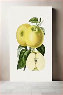 Πίνακας, Hand drawn yellow apple