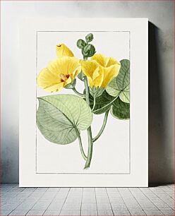 Πίνακας, Hand drawn yellow hibiscus flower