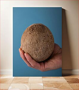 Πίνακας, Hand Holding a Coconut Χέρι που κρατά μια καρύδα