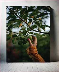 Πίνακας, Hand Picking Green Apples Μαζεύοντας με το χέρι πράσινα μήλα