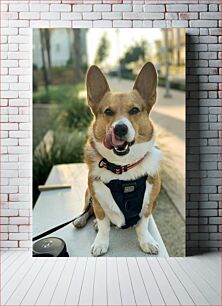 Πίνακας, Happy Dog Enjoying Outdoors Ευτυχισμένος σκύλος που απολαμβάνει σε εξωτερικούς χώρους