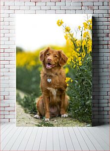 Πίνακας, Happy Dog in a Flower Field Happy Dog in a Flower Field