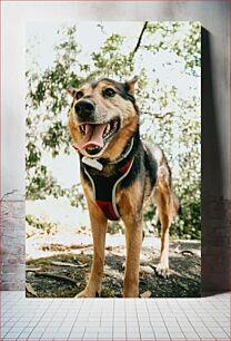 Πίνακας, Happy Dog in Nature Happy Dog in Nature