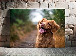 Πίνακας, Happy Dog in Nature Happy Dog in Nature