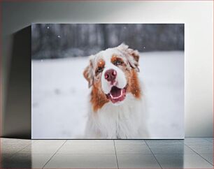 Πίνακας, Happy Dog in Snow Happy Dog in Snow