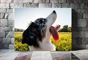 Πίνακας, Happy Dog in the Field Happy Dog in the Field