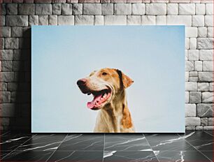 Πίνακας, Happy Dog Happy Dog