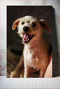 Πίνακας, Happy Dog Happy Dog