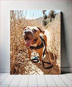 Πίνακας, Happy Dog on a Nature Trail Happy Dog on a Nature Trail