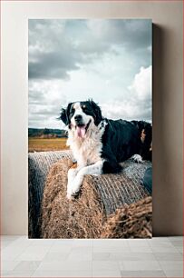 Πίνακας, Happy Dog on Hay Bale Happy Dog on Hay Bale