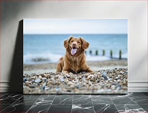 Πίνακας, Happy Dog on the Beach Happy Dog on the Beach