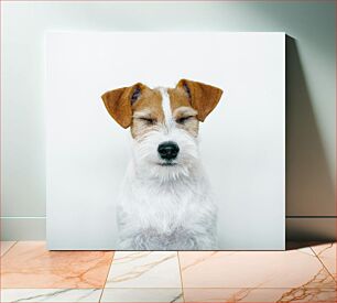 Πίνακας, Happy Dog with Closed Eyes Ευτυχισμένος σκύλος με κλειστά μάτια