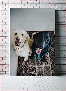 Πίνακας, Happy Dogs on a Rug Happy Dogs on a Rug